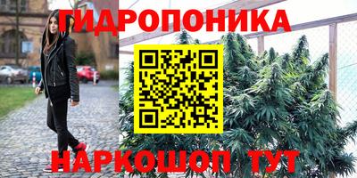 прущие крисы Краснознаменск
